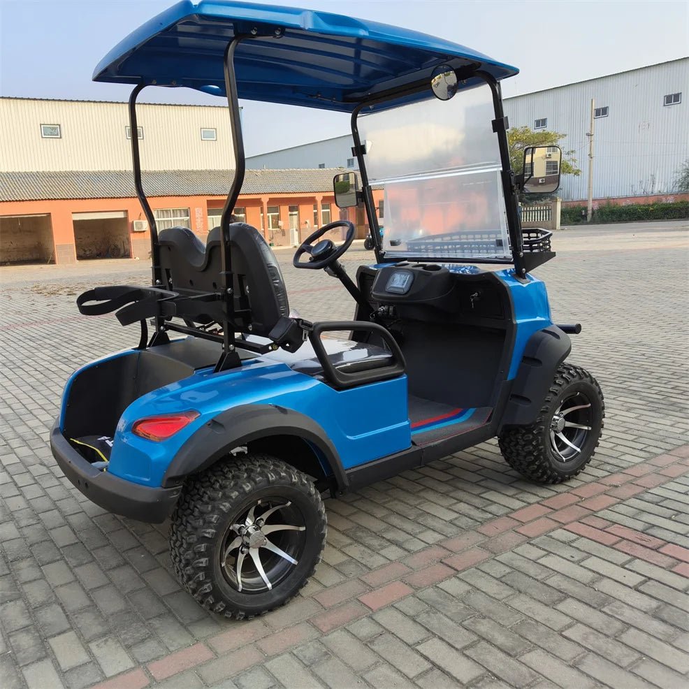Affordable 4-Passenger Electric Golf Cart - Street Legal with Fuel-Efficient Gasoline Engine 2 seat