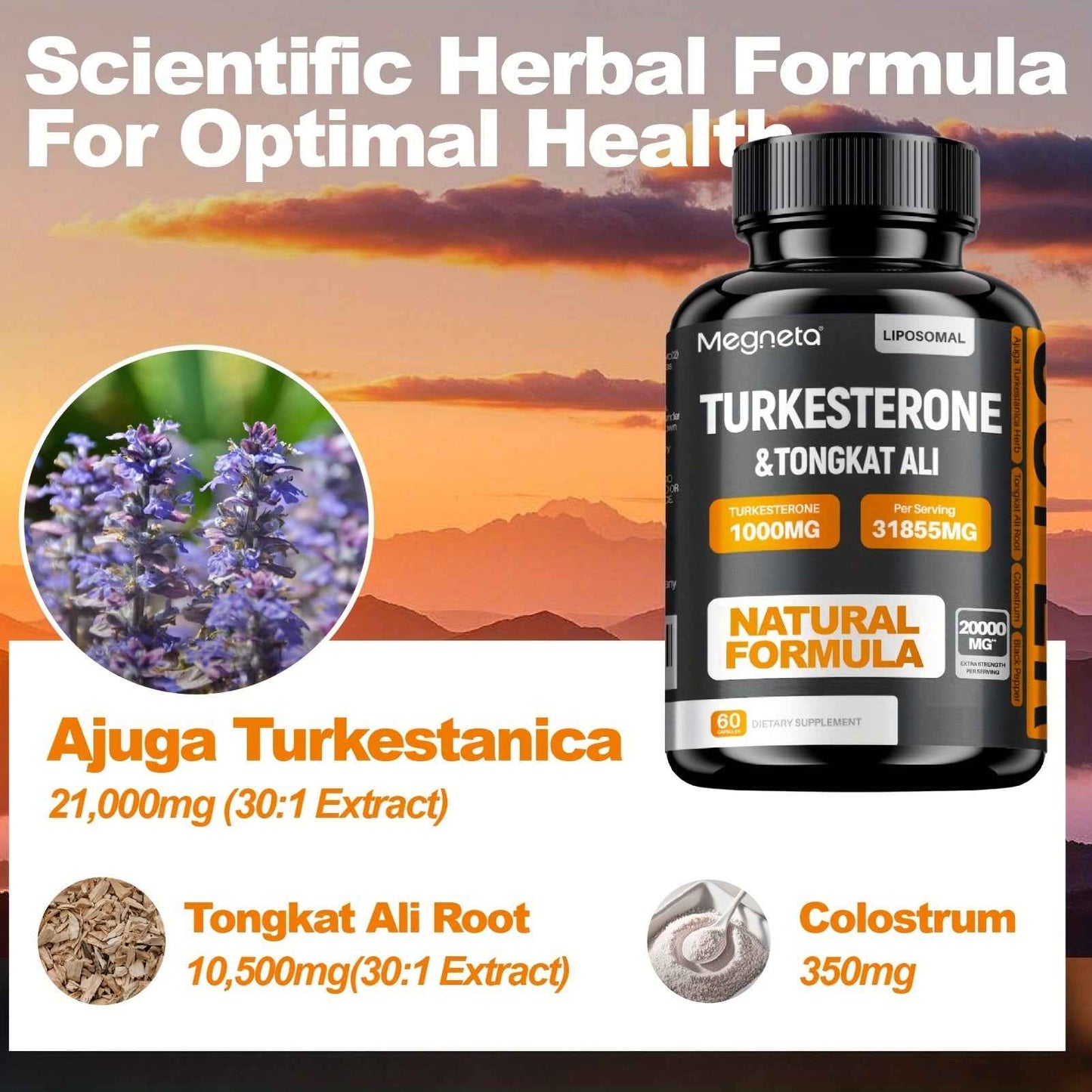 Turkesterone supplement for men featuring herbal formula with Ajuga Turkestanica and Tongkat Ali Root