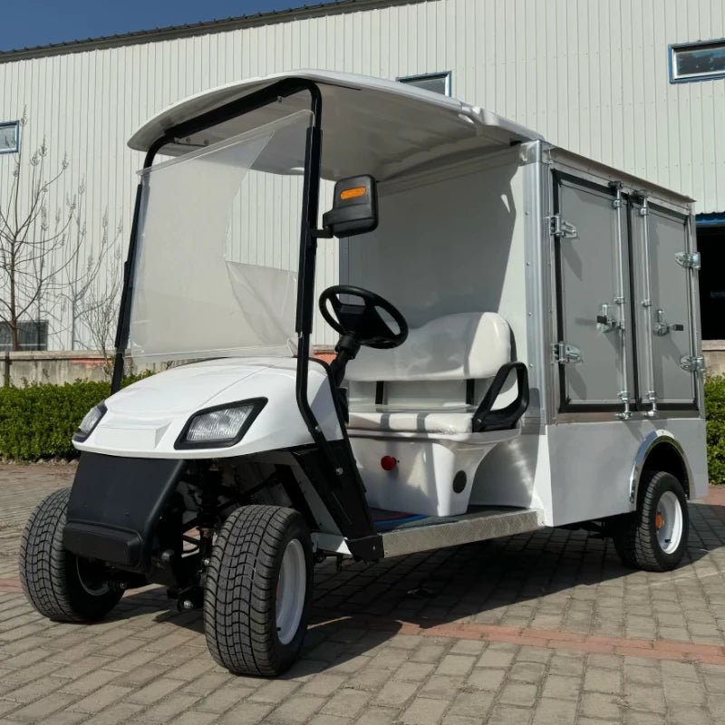Premium 2025 Luxury Golf Cart - 4-Passenger Model with Exclusive Features for Golf Enthusiasts MA2 seats CN