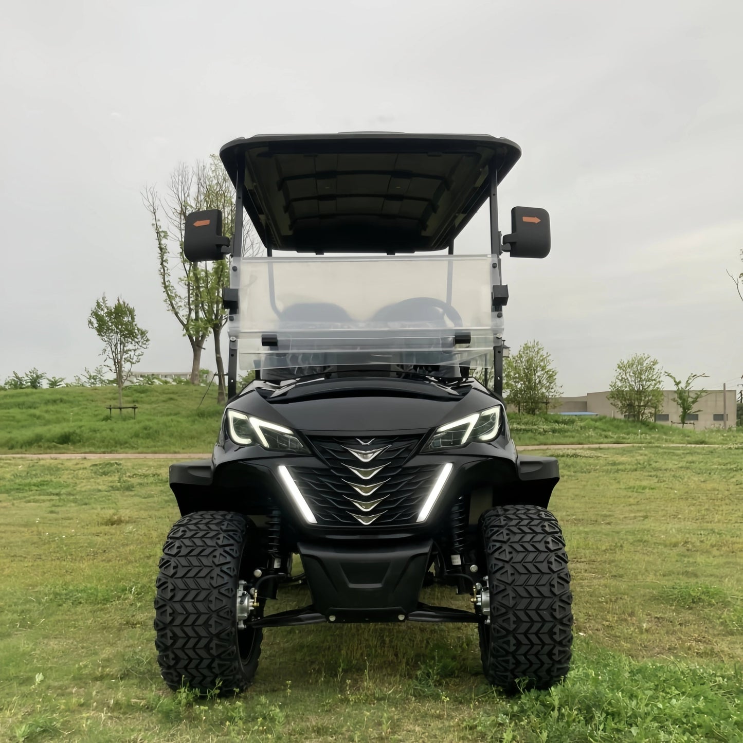 Versatile Electric Golf Cart - Multi-Purpose for Hunting, Farming & Beach - Premium Golf Buggy