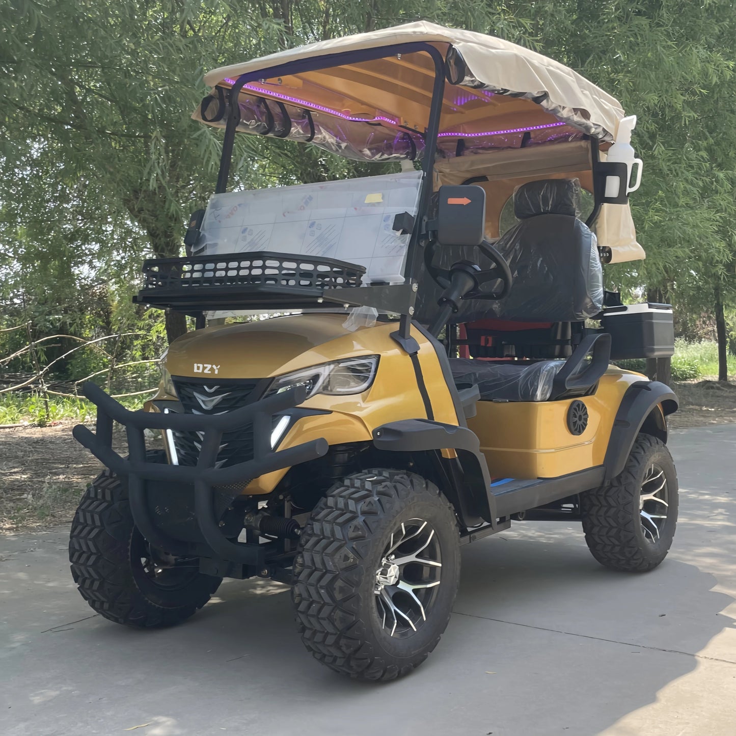 Versatile Electric Golf Cart - Multi-Purpose for Hunting, Farming & Beach - Premium Golf Buggy 2 seats