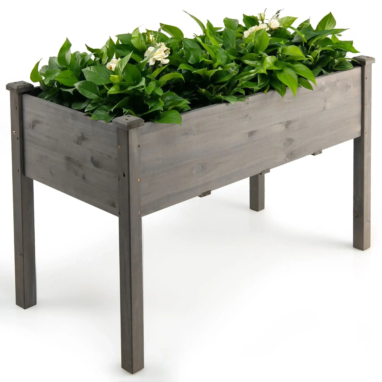 Wooden Raised Vegetable Garden Bed Elevated Grow Vegetable Planter Grey Grey United States