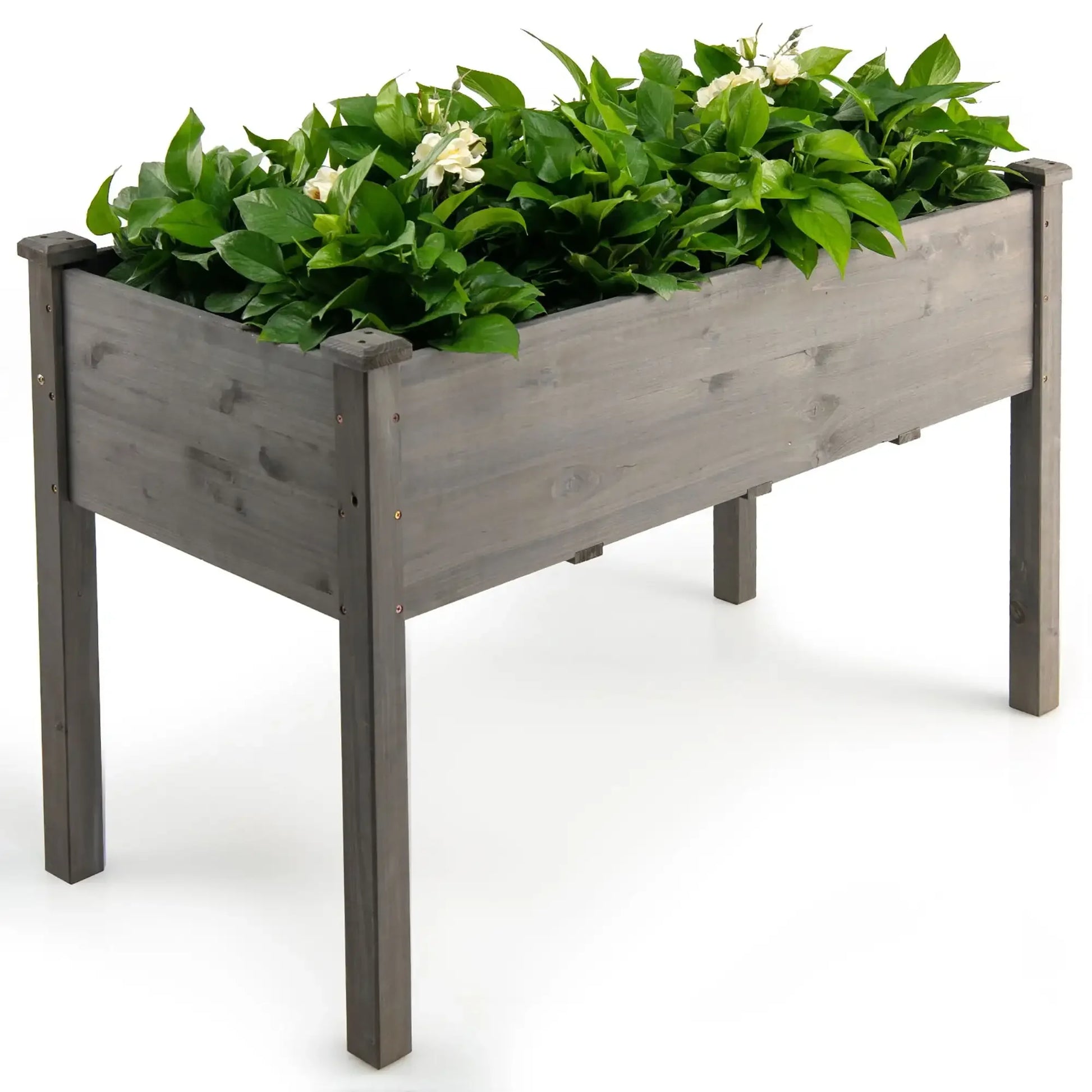 Wooden Raised Vegetable Garden Bed Elevated Grow Vegetable Planter Grey Grey United States