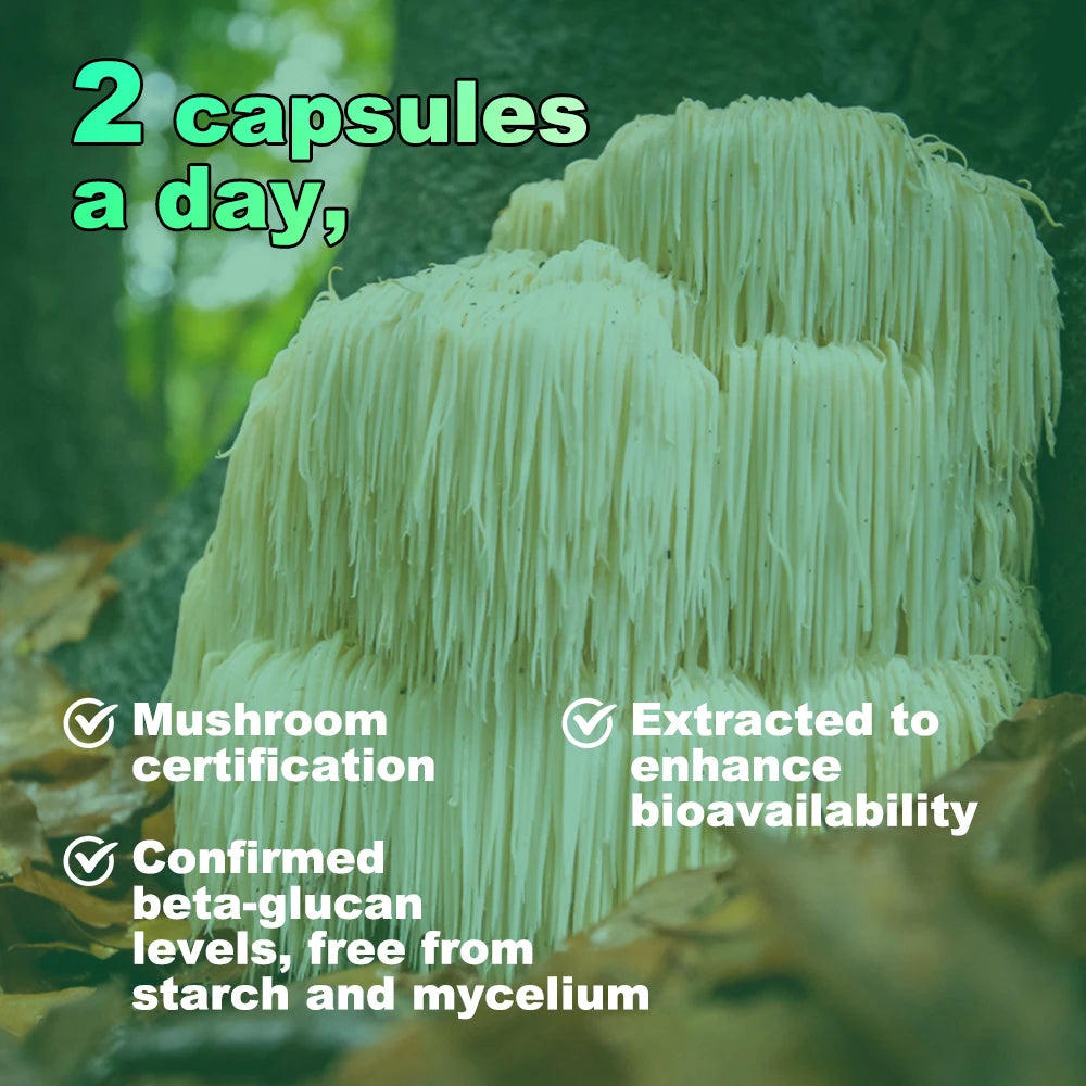 Lion's Mane Mushroom Extract Supplement with dosage details and bioavailability information