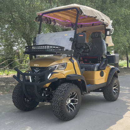 Versatile Electric Golf Cart - Multi-Purpose for Hunting, Farming & Beach - Premium Golf Buggy 2 seats